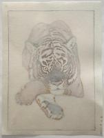 吉田遠志　Tiger