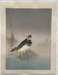 渡辺省亭　木版画７