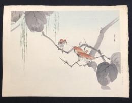 渡辺省亭　木版画