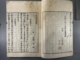 丁卯詩集四卷 近世木活