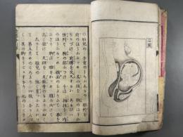 産婆手引草 1冊