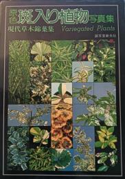 斑入り植物写真集