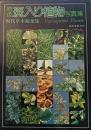 斑入り植物写真集