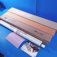 高級木版画摺り複製！今村紫紅『春さき』軸装