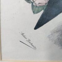 手彩色 リトグラフ ファッションプレート『Grand Album de Chapeaux Chic Parisien』