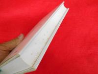 アメリカン・チャイルドフッド　AN AMERICAN CHILDHOOD