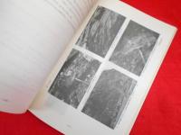 尖閣諸島調査報告書　学術調査編・利用開発可能性調査編　沖縄開発庁　昭和55年2月・昭和54年10月　　2冊