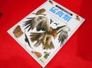 猛禽類 　　ワシ、タカ、ハヤブサなど、空の王者をダイナミックに図解 　ビジュアル博物館 第69巻