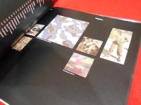 Brassey's Book of Camouflage　英語版 