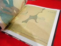 Brassey's Book of Camouflage　英語版 