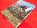 Geronimo!: U.S. Airborne Uniforms, Insignia & Equipment in World War II (Schiffer Military History)　英語版