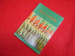 現代化すすむ中国の軍隊