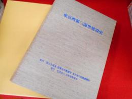 東京湾第三海堡建設史