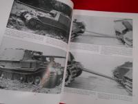 Conbat History of SCHWERE PANZERJAGER ABTEILUNG 653
formerly the Sturmgeschutz Abteilung 197 1940-1943　英語版