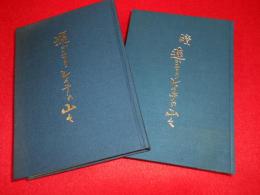 遥かなりレイテの山々　（正・続）　2冊
