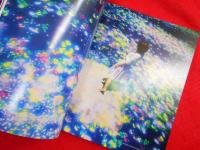図録　teamLab 2001 - 2016