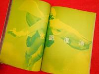 メディアレビュー臨時増刊　「河北秀也の東京グラフィティ やっぱり東京がおもしろい」