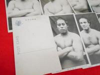 【戦前絵葉書】東京力士絵葉書　15枚(柏戸、佐賀の海、玉手山、小錦、浦の濱、大蛇潟、四国波、玉椿、櫻川、鶴渡り、石山、土州山、金の花、横綱太刀山、横綱梅ヶ谷)