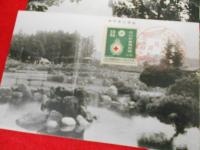 【戦前絵葉書】昭和11年8月6日紀念印・山形県長井市・長井のあやめ絵葉書　7枚