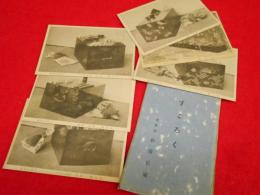 【戦前絵葉書】雲泉荘杉浦丘園「すごろく」絵葉書　6枚(石立、追まわし、折葉、ままこだて、柳)
