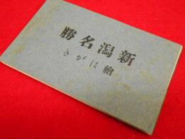 【戦前絵葉書】新潟名勝絵はがき　10枚(萬代橋、松江亭、信濃川、古町通五番町、新潟灯台、下大川前通、新潟縣會議事堂、新潟医学専門学校、新潟海岸他)