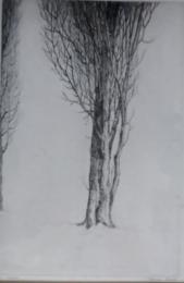 駒井哲郎銅版画　「樹」