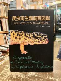 爬虫両生類飼育図鑑 : カメ・トカゲ・イモリ・カエルの飼い方