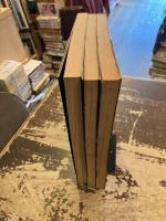 ロック・クロニクル　全3巻