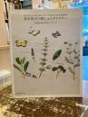 青木和子の刺しゅうダイアリー = STITCH DIARY OF FOUR SEASONS : 四季を彩る草花とステッチ