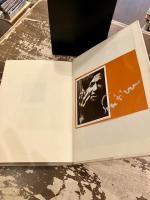 スーチン : その愛と死