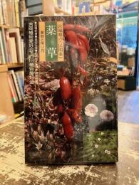 宮城県の薬草 : 薬効・用い方