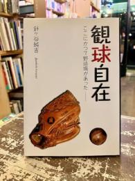 観球自在 : ここにかつて野球場があった