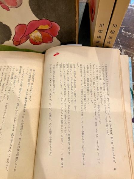 東京の人　川端康成　四冊揃 東京の人 川端康成 四冊揃