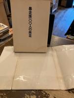 暴走族100人の疾走