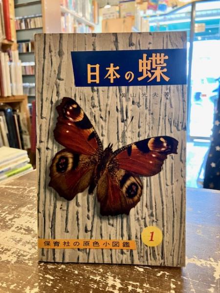 慢性疲労症候群 ポスト・エイズの主役(ニーヤ・オストローム