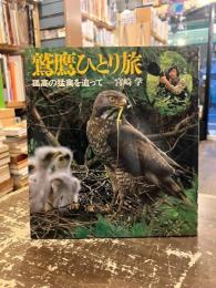 鷲鷹ひとり旅 : 孤高の猛禽を追って
