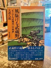 風駈ける武蔵野 : もうひとつの埼玉二千年史