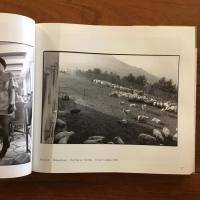 Transilvania: Kaukametsa