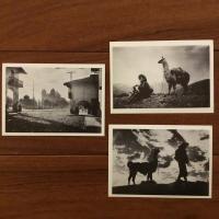 [西]Reflejos De Medio Siglo. Imagenes Andinas 1900-1950 (アンデスの半世紀）