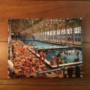 Our True Intent Is All for Your Delight : The John Hinde Butlin's Photographs