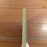 The History of the Nude in Photography