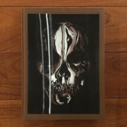 [英]Alexander McQueen: Savage Beauty