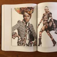 [英]Carine Roitfeld: Irreverent