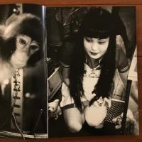 しゃしん 捨身 写真