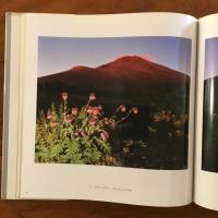 伊志井桃雲写真集 山の心、花の心 富士山