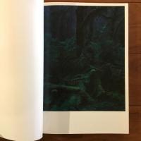 QUINAULT クゥィノルト