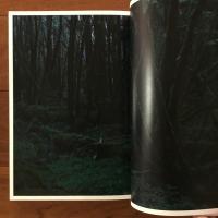 QUINAULT クゥィノルト