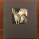 [英]The Journal of Contemporary Photography: Culture & Criticism: Volume 1