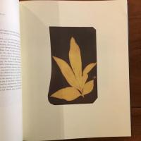 [英]The Photographic Art of William Henry Fox Talbot