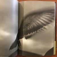 cameraChimera カメラキメラ